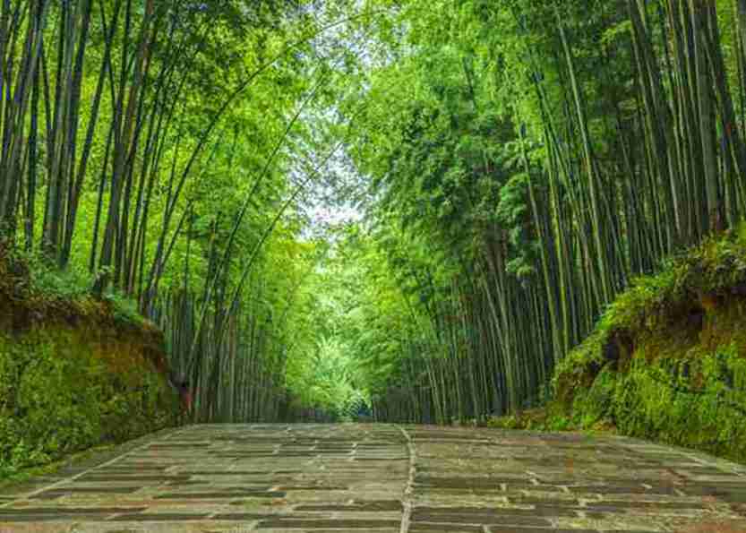 卡龙沟简介，卡龙沟旅游攻略-第2张图片-四川省中国青年旅行社